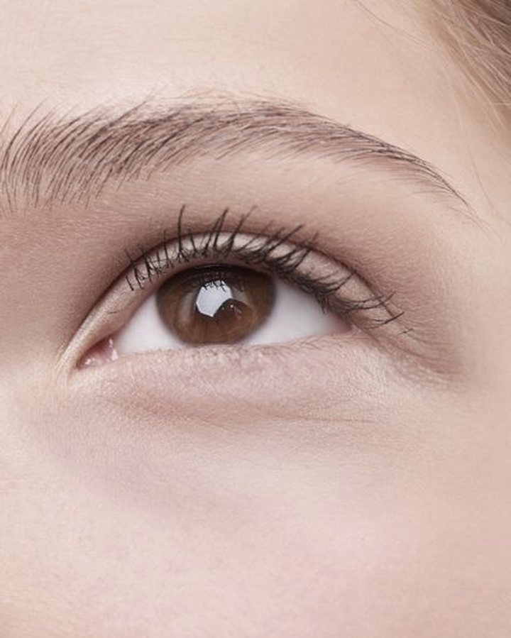 Close-up of a natural, softly defined brow.