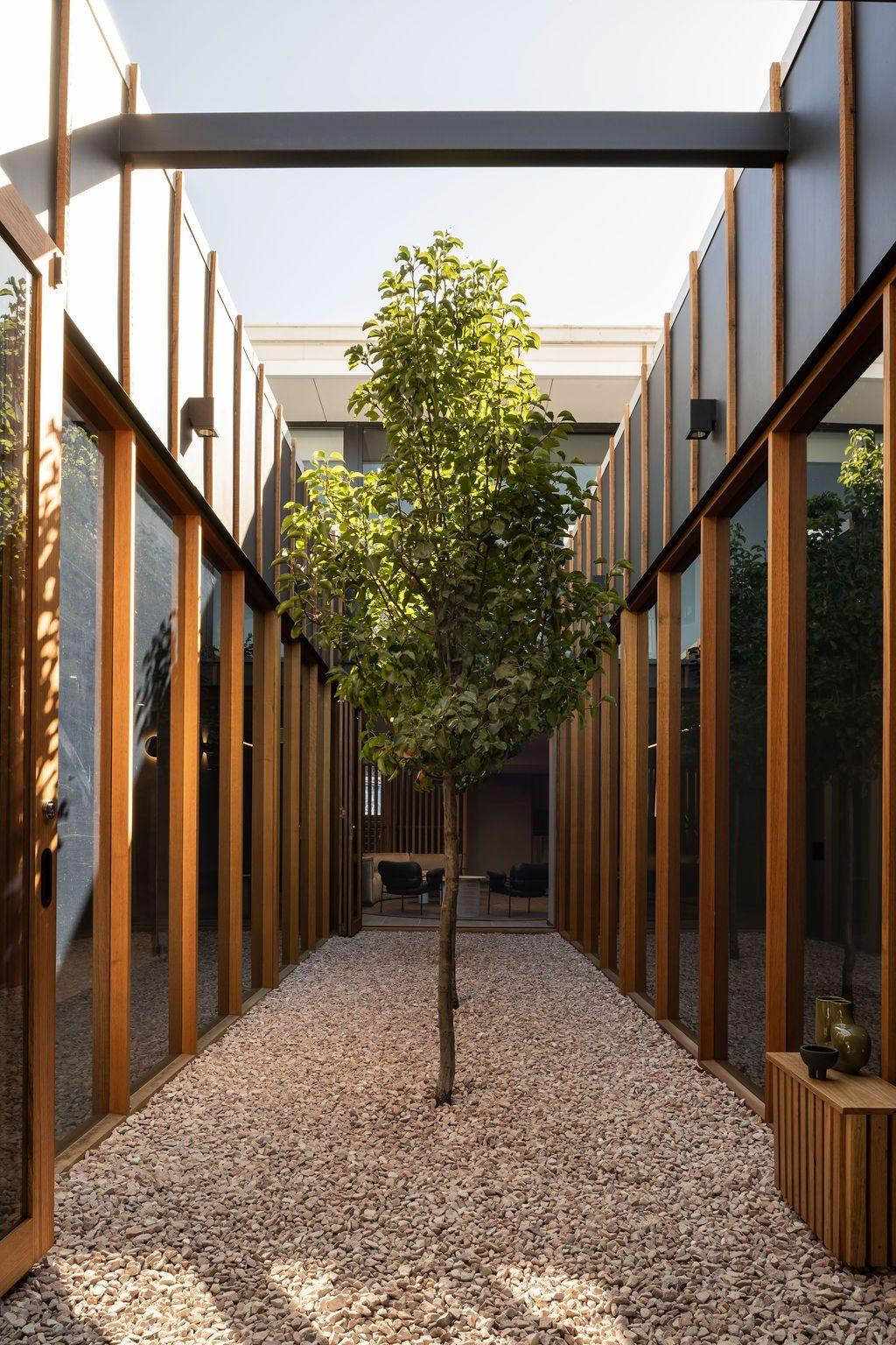 The timber-lined courtyard at Vitality House, West Leederville, with a single tree over pale gravel.
